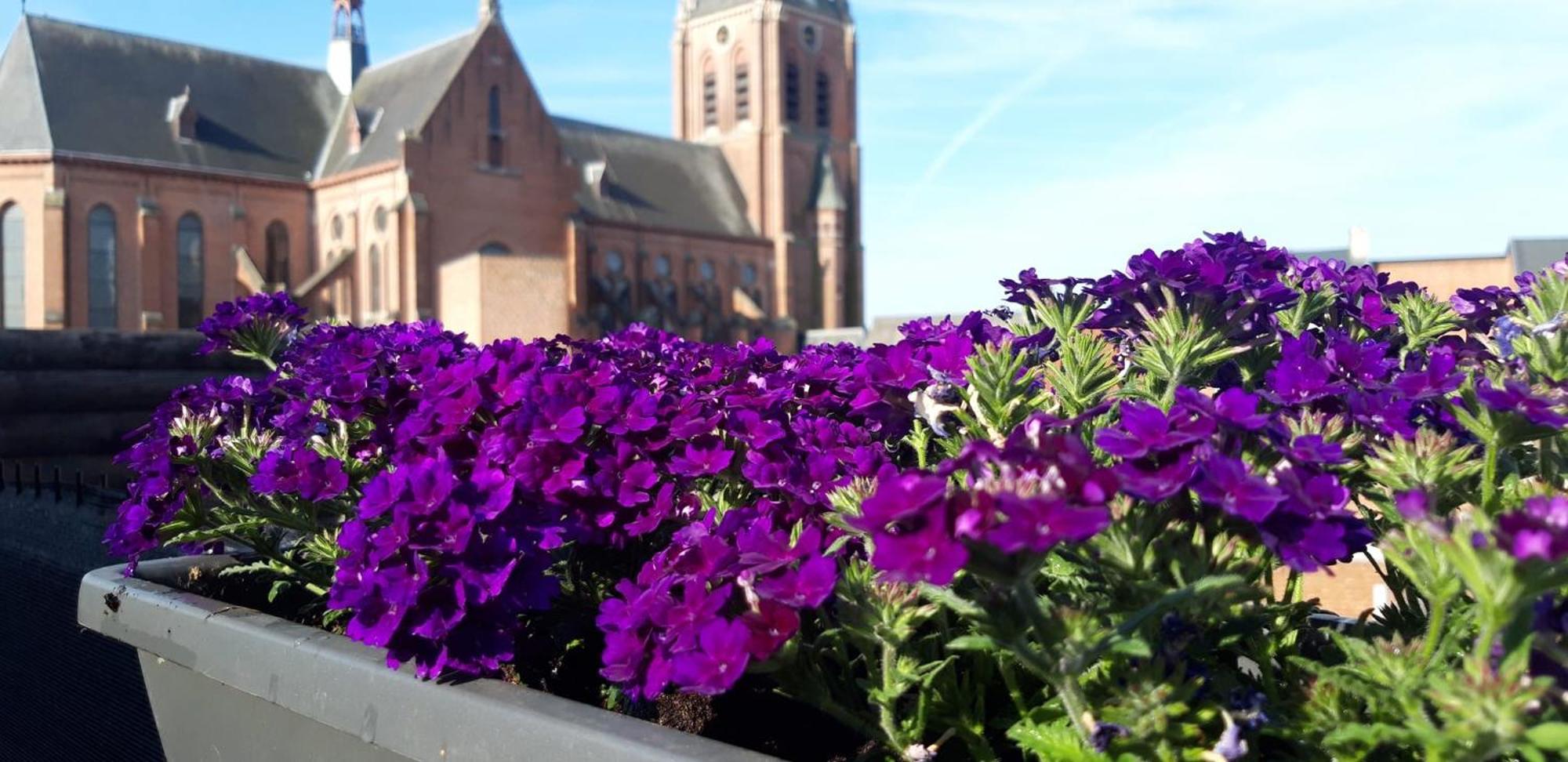 B&B Bon-Bon 'Nuit' Turnhout Esterno foto